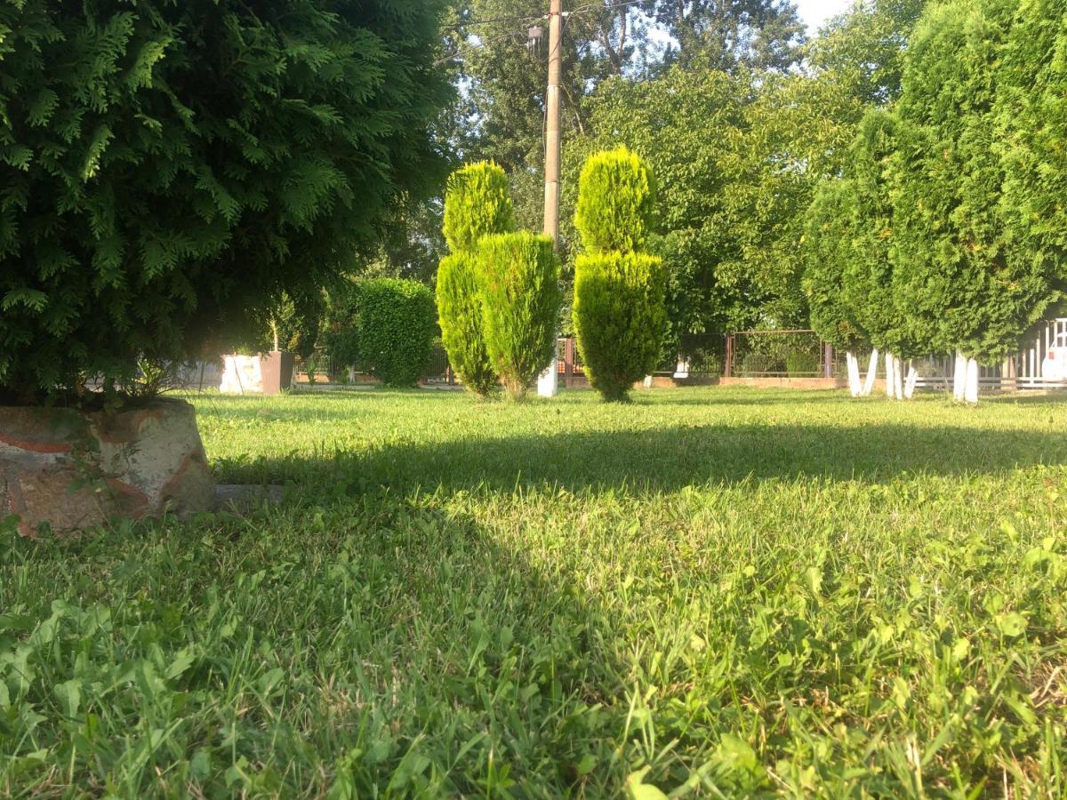 Apartmani Morava 54 Kocino Selo Exterior foto